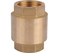 Обратный пружинный клапан STOUT SVC-0012-000025 муфтовый RG008T8CKQH3T9