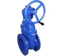 Задвижка клиновая DN.ru 30ч939р GGG50-GGG50-EPDM-BLUE ISO Ду125 Ру10/16 с редуктором RMN1-360Z-T2,35-ISO D040-09319