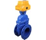 Задвижка клиновая DN.ru 30ч939р GGG50-GGG50-EPDM-BLUE ISO Ду125 Ру10/16 с электроприводом MT-100 380В D040-09298