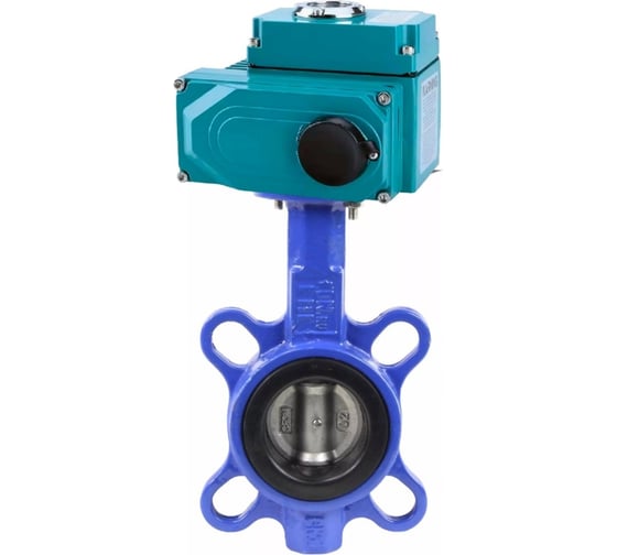 Затвор DN.ru WCB-316-VITON-2W-Fb Ду250 Ру16, 1/4-оборотный электропривод QT2-060 220В D050-70603