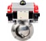 Дисковый затвор DN.ru 304-304-Sil-2W-W-H Ду25 Ру10 пищевая нержавеющая сталь, пневмопривод, пневмораспределитель D050-76877 1