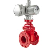 Задвижка DN.ru 30ч939р Ду65 Ру16 GGG50-EPDM-F4-RED эл.привод ГЗ А.50/12 220В D040-00723