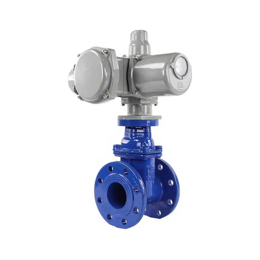 Задвижка DN.ru 30ч939р -300-10-GGG50-EPDM-F4-BLUE Ду300 Ру10 ГЗ Б.300/ ...