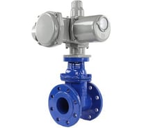 Задвижка DN.ru 30ч939р -300-10-GGG50-EPDM-F4-BLUE Ду300 Ру10 ГЗ Б.300/24, 380В D040-00810