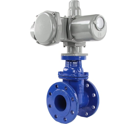 Клиновая задвижка DN.ru 30ч939р GGG50-EPDM-F4-BLUE Ду125 Ру16 ГЗ А.150/18 220В D040-00785 1