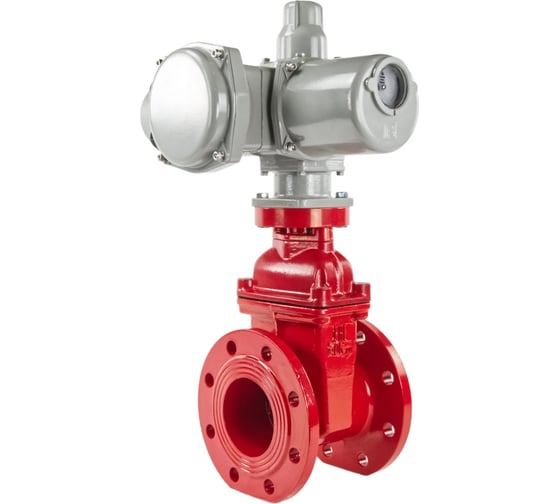 Задвижка DN.ru 30ч939р Ду150 Ру16 GGG50-EPDM-F4-RED эл.привод ГЗ А.150/18 220В D040-00743 1