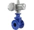Задвижка DN.ru 30ч939р GGG50-EPDM-F4-BLUE Ду100 Ру16 электропривод ГЗ А.100/24 220В D040-00779 1