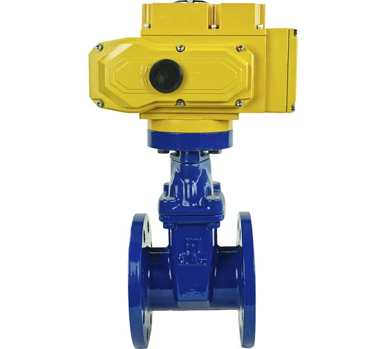 Клиновая задвижка DN.ru 30ч939р GGG50-EPDM-F4-BLUE Ду80 Ру16, электропривод MT-100 220В D040-00773