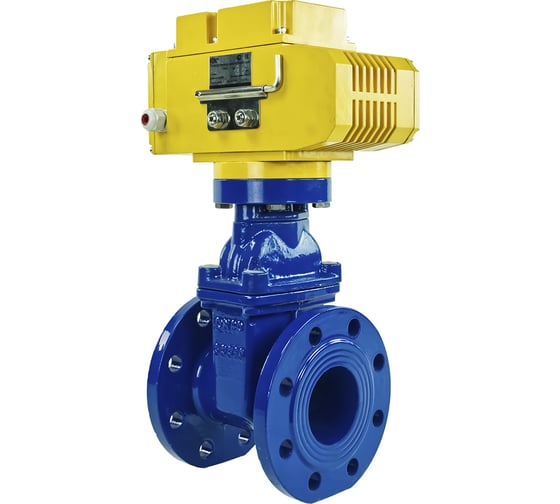 Клиновая задвижка DN.ru 30ч939р GGG50-EPDM-F4-BLUE Ду80 Ру16, электропривод MT-100 220В D040-00773