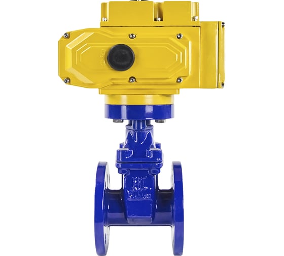 Клиновая задвижка DN.ru 30ч939р GGG50-EPDM-F4-BLUE Ду50 Ру16, электропривод MT-50 220В D040-00763