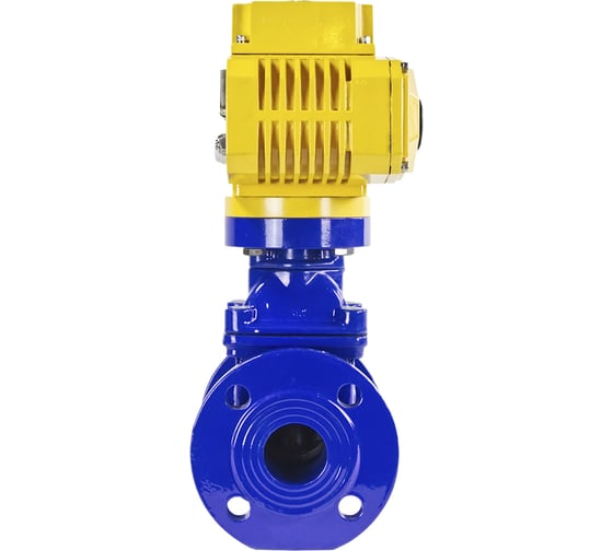 Клиновая задвижка DN.ru 30ч939р GGG50-EPDM-F4-BLUE Ду50 Ру16, электропривод MT-50 220В D040-00763