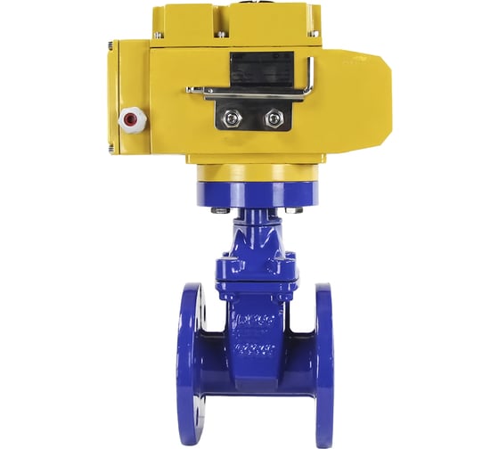 Клиновая задвижка DN.ru 30ч939р GGG50-EPDM-F4-BLUE Ду50 Ру16, электропривод MT-50 220В D040-00763