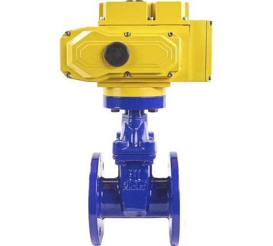 Клиновая задвижка DN.ru 30ч939р GGG50-EPDM-F4-BLUE Ду65 Ру16, электропривод MT-50 220В D040-00769