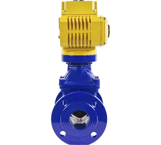Клиновая задвижка DN.ru 30ч939р GGG50-EPDM-F4-BLUE Ду65 Ру16, электропривод MT-50 220В D040-00769