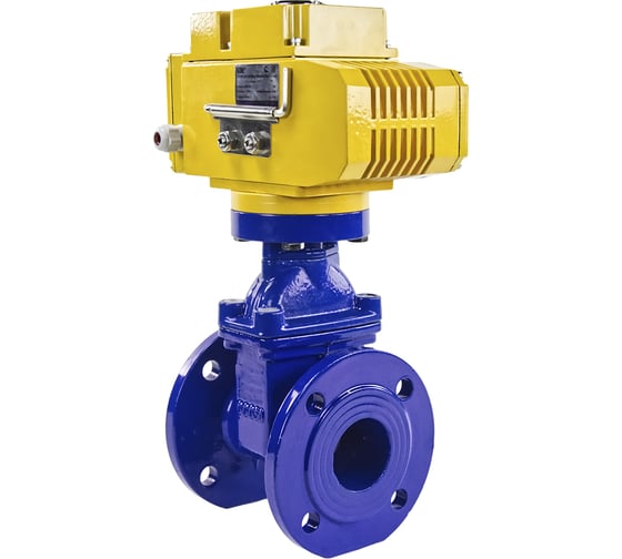 Клиновая задвижка DN.ru 30ч939р GGG50-EPDM-F4-BLUE Ду65 Ру16, электропривод MT-50 220В D040-00769