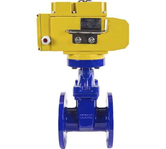 Клиновая задвижка DN.ru 30ч939р GGG50-EPDM-F4-BLUE Ду65 Ру16, электропривод MT-50 220В D040-00769