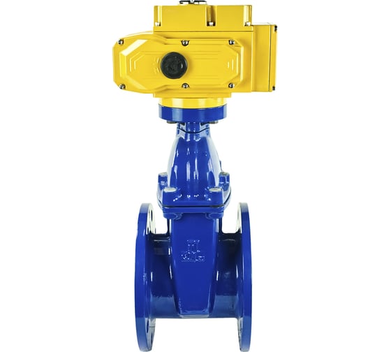 Клиновая задвижка DN.ru 30ч939р GGG50-EPDM-F4-BLUE Ду150 Ру16, электропривод MT-100 220В D040-00787