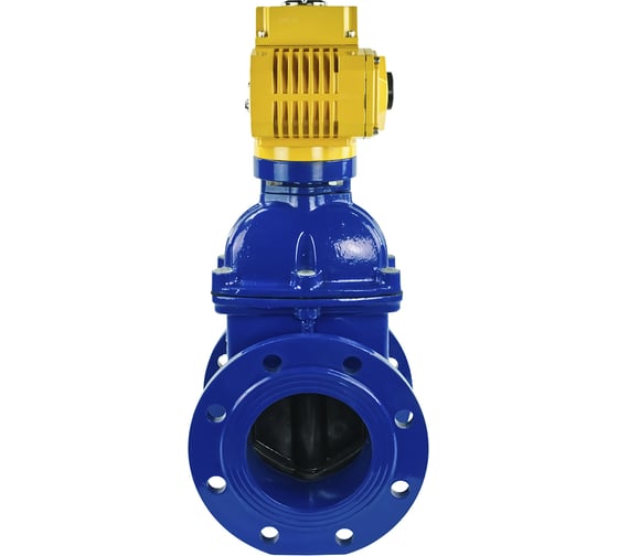 Клиновая задвижка DN.ru 30ч939р GGG50-EPDM-F4-BLUE Ду150 Ру16, электропривод MT-100 220В D040-00787