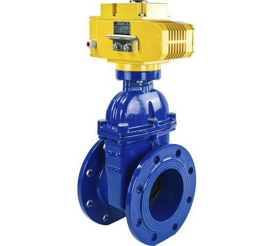 Клиновая задвижка DN.ru 30ч939р GGG50-EPDM-F4-BLUE Ду150 Ру16, электропривод MT-100 220В D040-00787