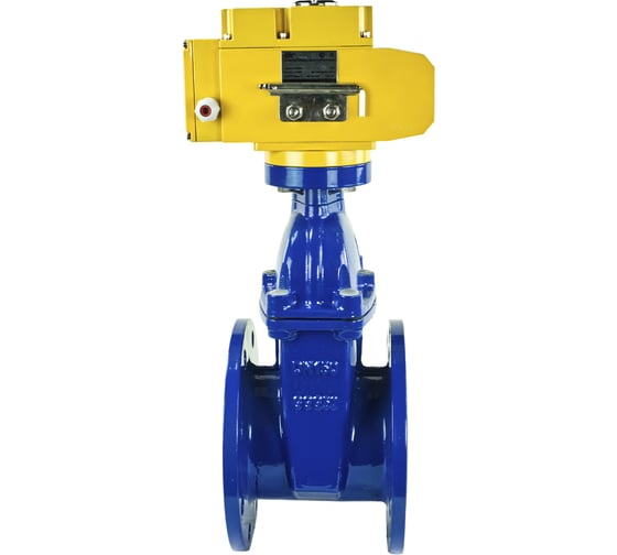 Клиновая задвижка DN.ru 30ч939р GGG50-EPDM-F4-BLUE Ду150 Ру16, электропривод MT-100 220В D040-00787