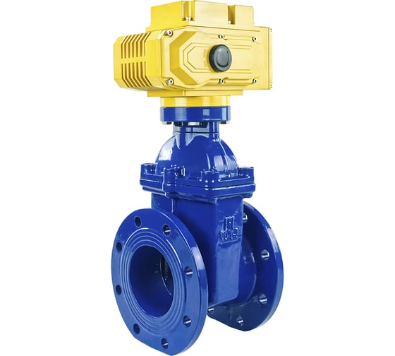Клиновая задвижка DN.ru 30ч939р GGG50-EPDM-F4-BLUE Ду125 Ру16 электропривод MT-200 220В D040-05451 1
