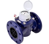 Счетчик холодной воды ООО "Водомер" ТВСНХд 100 IP68, 100л/имп VM-1071-100-21B-68