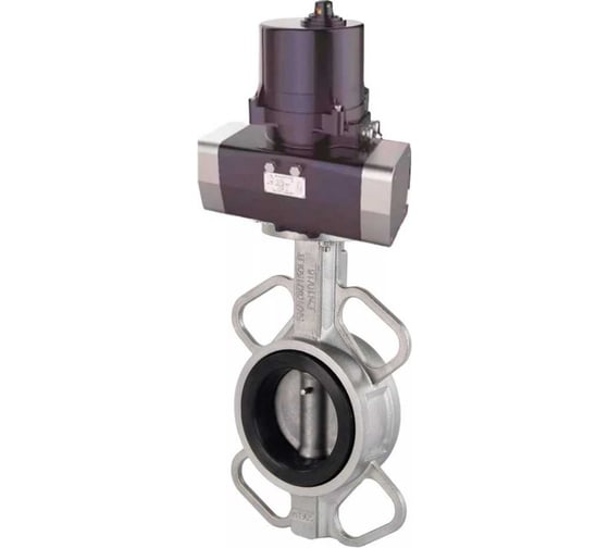 Затвор дисковый DN.ru 316-316-VITON-2W-Fb Ду80 Ру16, электропривод ЭПВП-005 220В D050-81387
