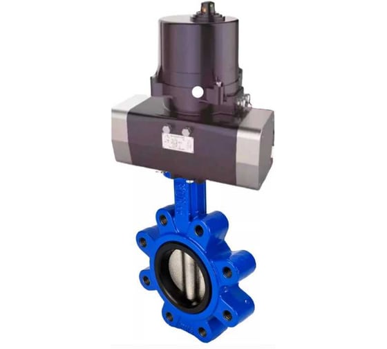 Затвор дисковый DN.ru QT450-304-EPDM-2W-Fb-H Ду80 Ру16 LUG, электропривод ЭПВП-005 220В D050-81266 1