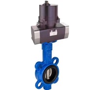 Затвор дисковый DN.ru WCB-316L-VITON Ду200 Ру16 электропривод ЭПВП-030 220В D050-81413