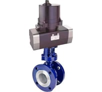 Затвор дисковый DN.ru WCB-316-M-F-ISO Ду65 Ру25 электропривод 220В D050-81431