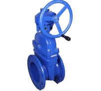 Задвижка клиновая DN.ru 30ч939р GGG50-GGG50-EPDM-BLUE ISO Ду50 Ру10/16 с редуктором RMN1-360Z-T2,35-ISO D040-09315