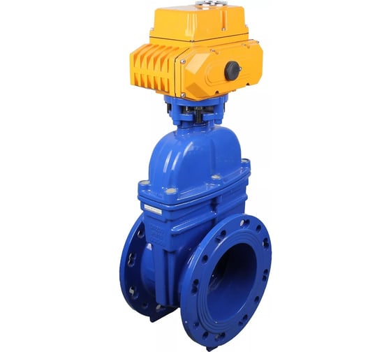 Задвижка клиновая DN.ru 30ч939р GGG50-GGG50-EPDM-BLUE ISO Ду65 Ру10/16 с электроприводом MT-50 220В D040-09289
