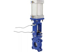 Задвижка DN.ru GGG40-304-EPDM-2W-Fb-2P Ду250 Ру10, пн.привод, WENZ, индукционные датчики D040-09861