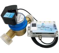 Счетчик для воды ДЕКАСТ ОСВХ-32 НЕПТУН МИД Р (NB-IoT ВА) 76-32-494