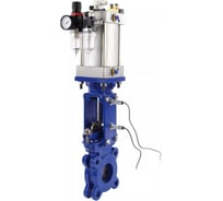 Задвижка DN.ru WCB-304-M-1W-Fb-2P Ду80 Ру10, пневмопривод, WENZ, пневмораспределитель, инд. датчики, БПВ D040-09923