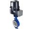 Затвор дисковый DN.ru WCB-316L-PTFE Ду40 Ру16 электропривод ЭПВП-005 220В D050-81406 1