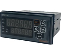 Программируемый счетчики-таймер Autonics CT6Y-2P4 A1000000122R