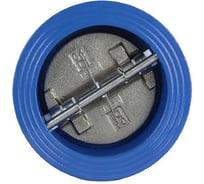 Клапан обратный RUTEMPO чугун 2/створ Ду 50 Ру16 Тмакс=100С межфл створки чугун 019-0072