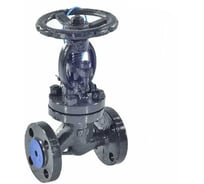 Клапан запорный RUTEMPO сталь 15с65нж Ду 25 Ру16 Тмакс=425С фл 007-8247