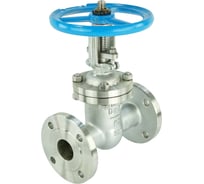 Задвижка клиновая DN.ru 30нж64нж 304-304-M-2W-F-S Ду50 Ру25, штурвал, GAIR D040-10018