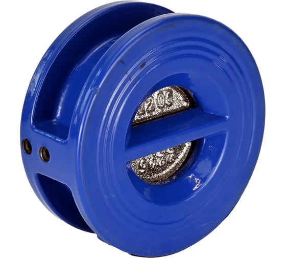 Клапан обратный лепестковый двухстворчатый DN.ru 2S-GG25-GG25-EPDM-Fb Ду300 Ру16 межфланцевый D100-03951 1