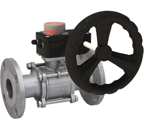Кран шаровой 316-316-FP-F-ISO-H Ду100 Ру25, редуктор с индикатором положения DN.ru D160-66181 1
