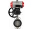 Затвор дисковый 316-316-VITON-2W-Fb Ду125 Ру16, пневмопривод DA-083, пневмораспределитель 24VDC, ручной дублёр HDM-2 DN.ru D050-85464 1
