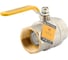 Шаровой кран для газа PROFACTOR PF GAS ручка рычаг, в/в 2 дюйма PF GBV 344 5