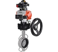 Затвор дисковый 316-316-VITON-2W-Fb Ду150 Ру16, пневмопривод DA-105, пневмораспределитель 24VDC, БКВ LSB-210, ручной дублёр HDM-3 DN.ru D050-85443