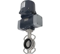Затвор дисковый 304-304-VITON-2W-Fb Ду150 Ру16, электропривод ЭПВП-020 220В DN.ru D050-81355