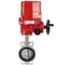 Затвор дисковый 304-304-VITON-2W-Fb Ду100 Ру16 с электроприводом EX-010 24В DN.ru D050-84690 1