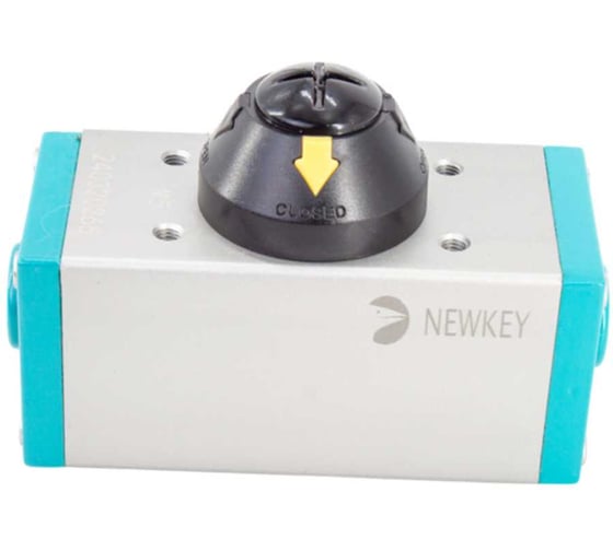 Привод пневматический двухсторонний NEWKEY AT125D NK-PPD125 1