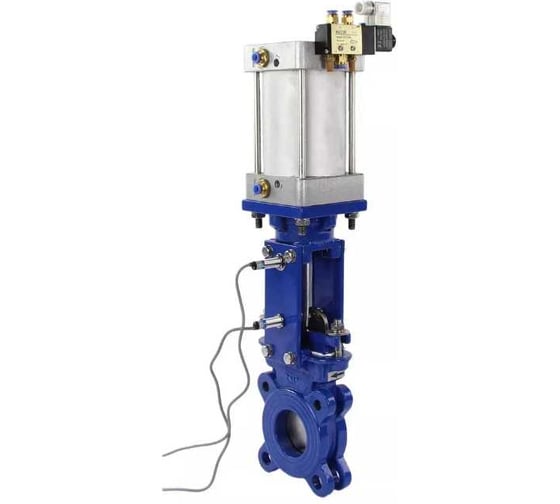 Задвижка DN.ru GGG40-304-M-1W-Fb-2P Ду300 Ру6 пн.привод, WENZ, пн.распр, индукц. датчики D040-09816 1