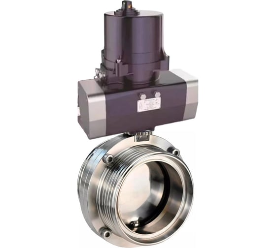 Затвор дисковый DN.ru 304-304-EPDM-2W-T-H Ду100 Ру10 резьбовой, электропривод 220В D050-81296 1